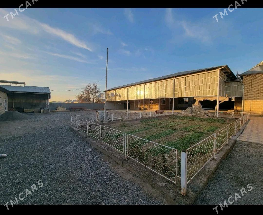 Satlyk jay Sakarcage - Мары - img 9