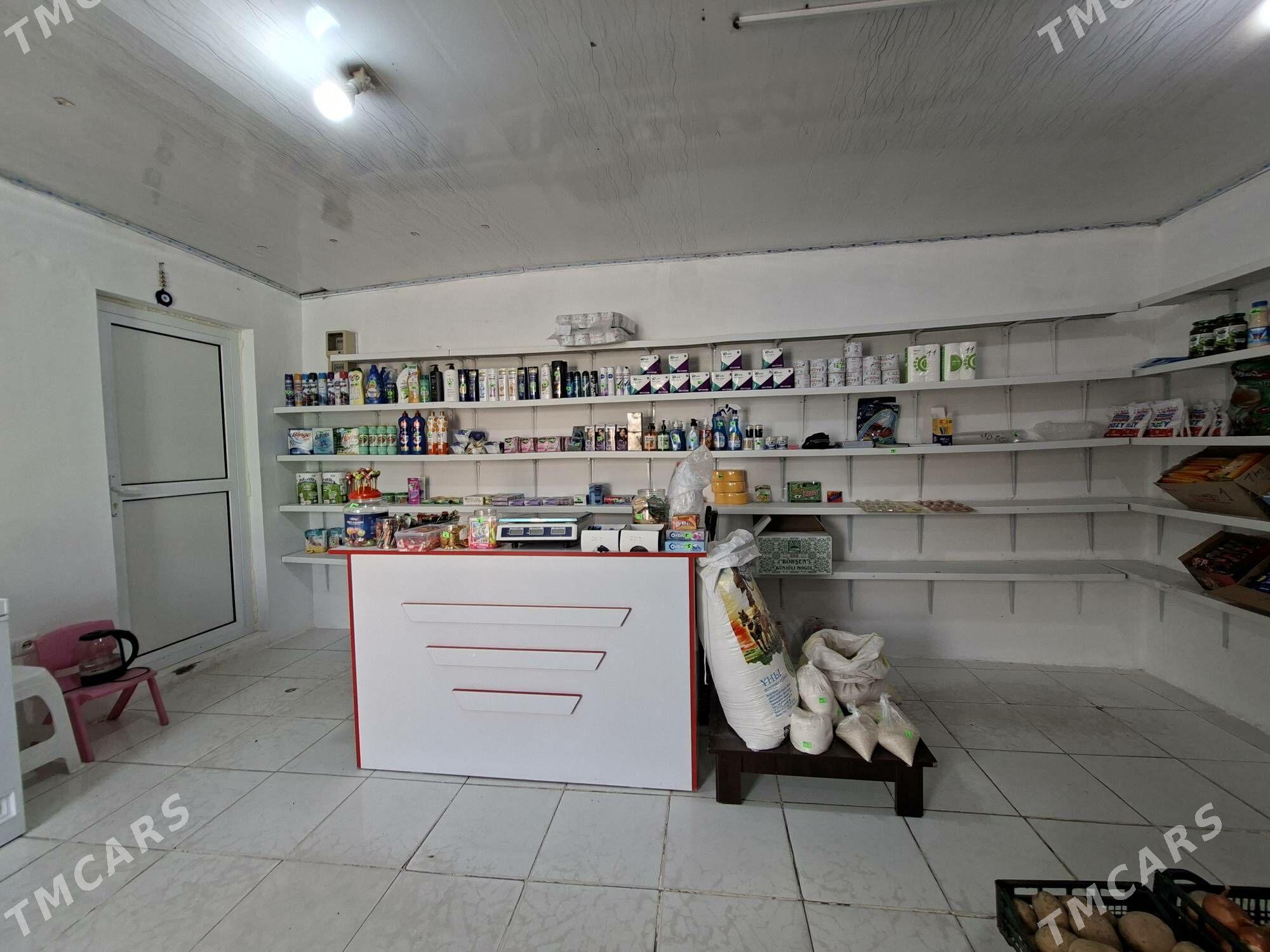 Arenda kamerisky - Bedew - img 5