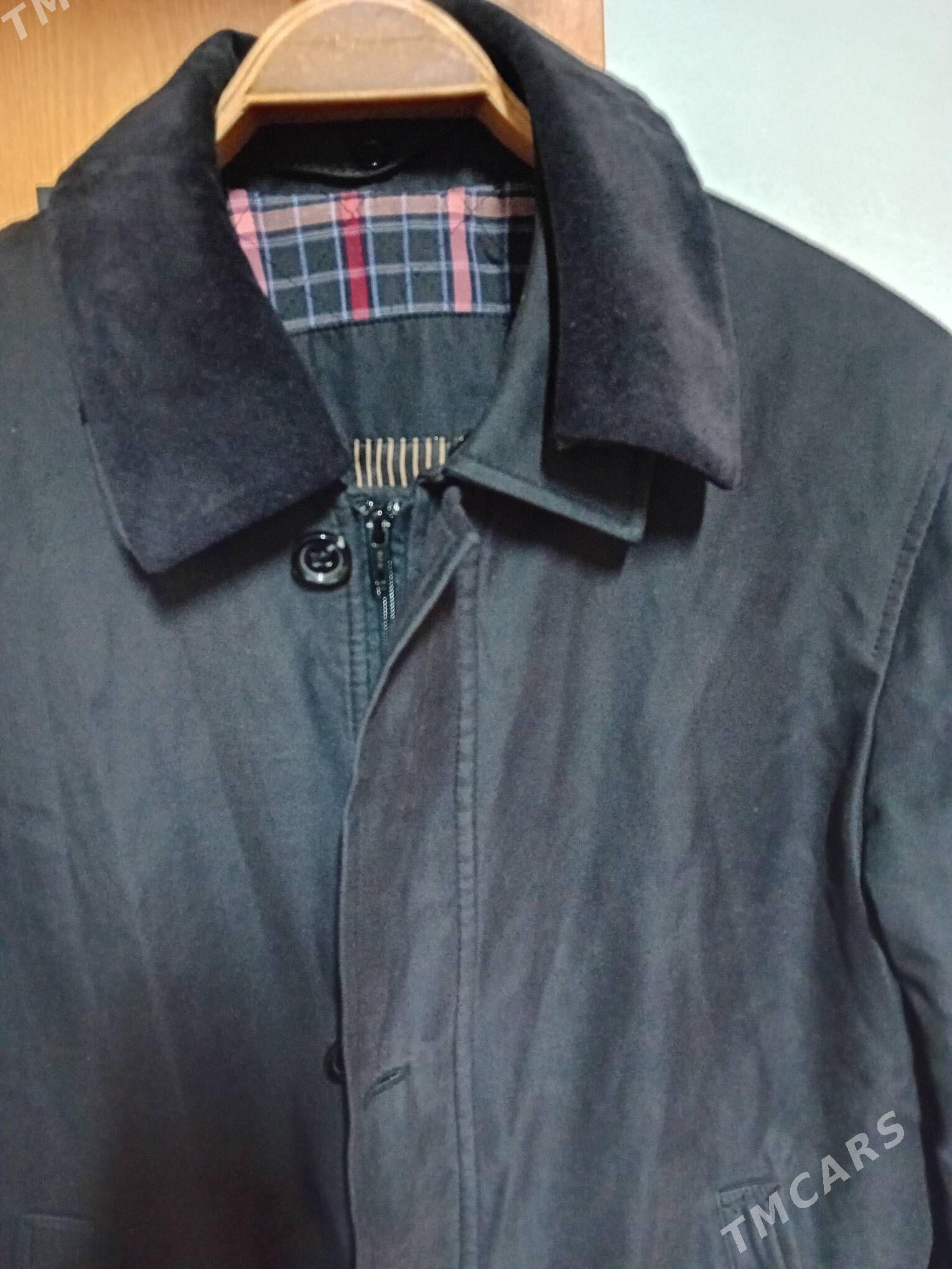 kutrga - Daşoguz - img 5