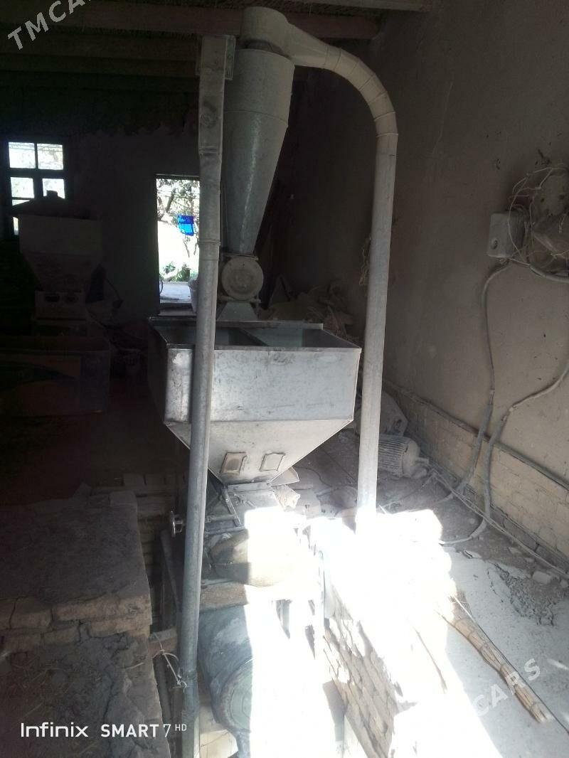 Haraz - Saýat - img 3