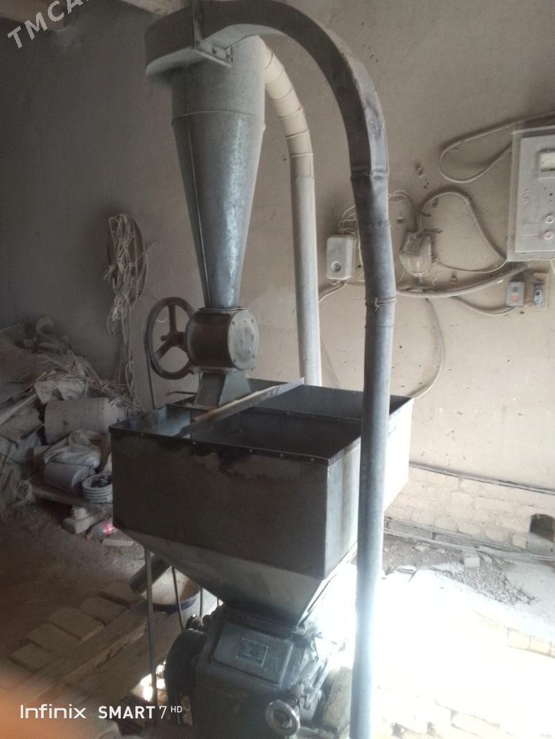 Haraz - Saýat - img 1