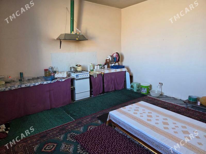 Gulistan SATLYK JAY - Дашогуз - img 3