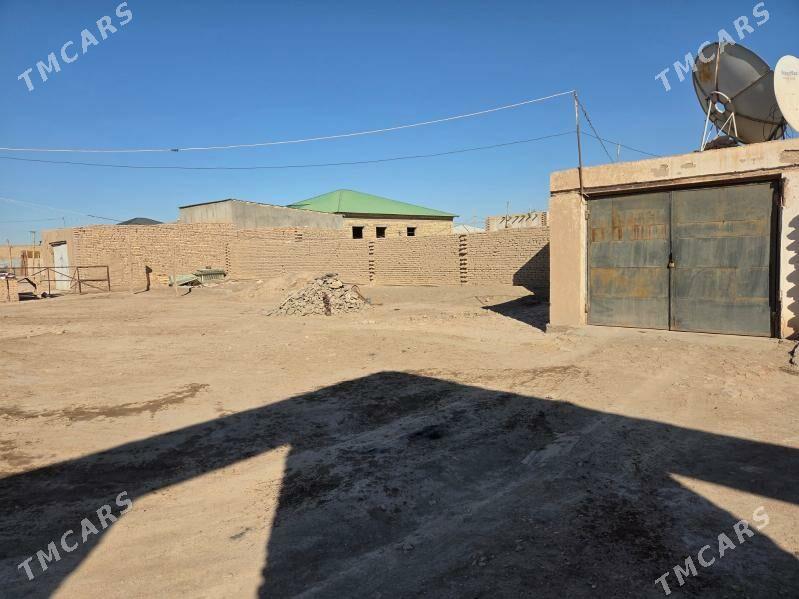 Gulistan SATLYK JAY - Дашогуз - img 6