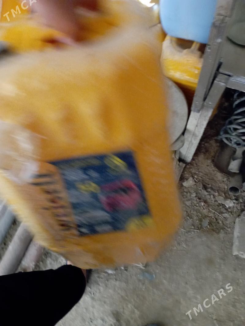 Kanister - Köşi - img 2