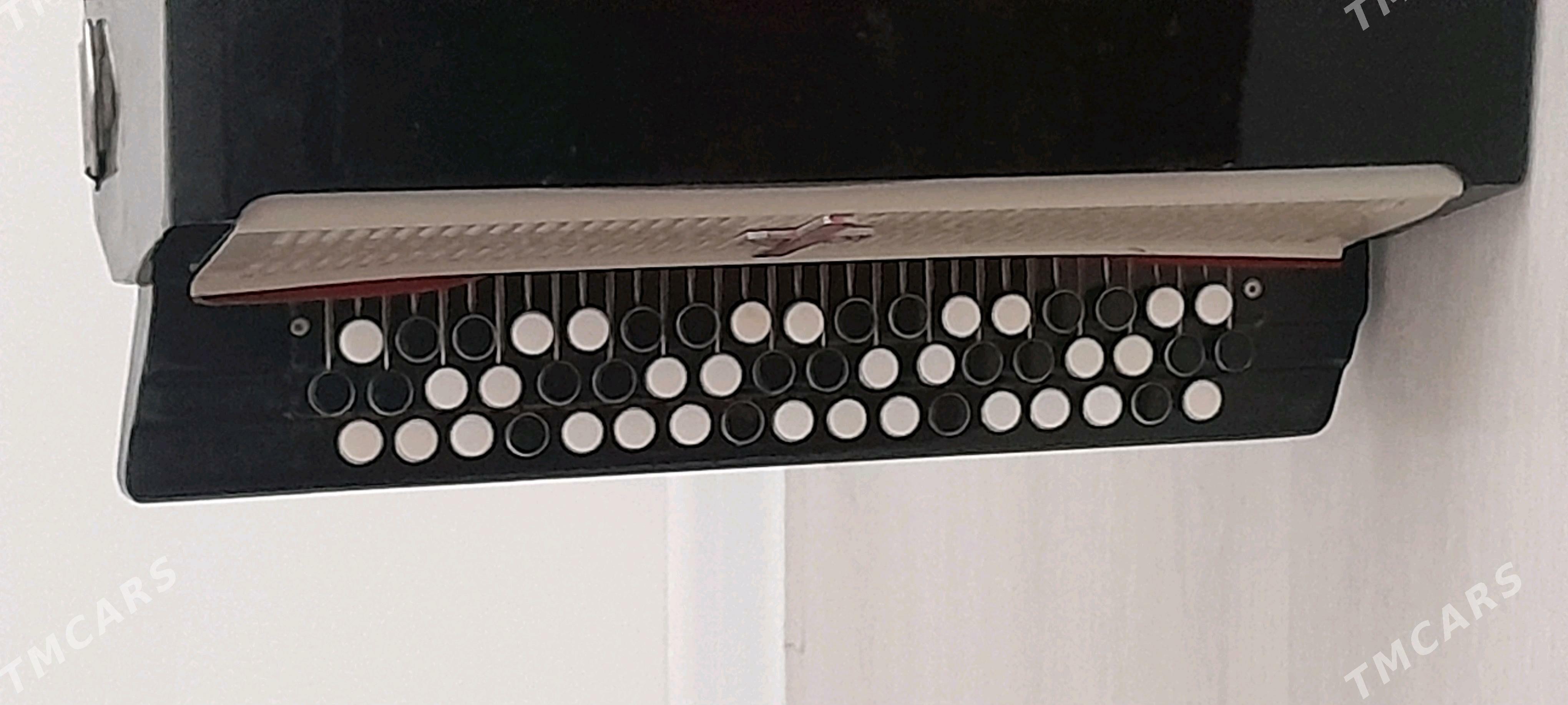 Bayan - Büzmeýin GRES - img 3