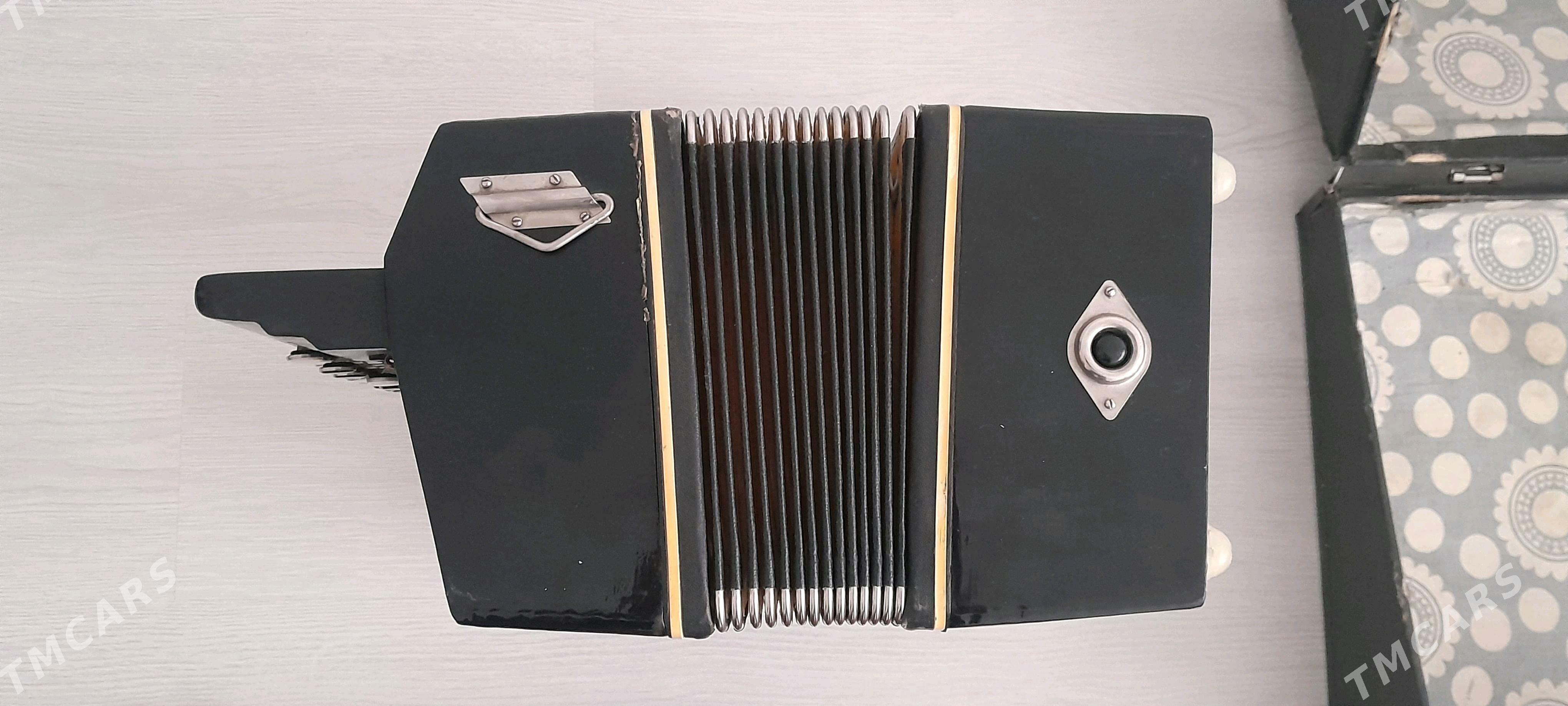 Bayan - Büzmeýin GRES - img 4