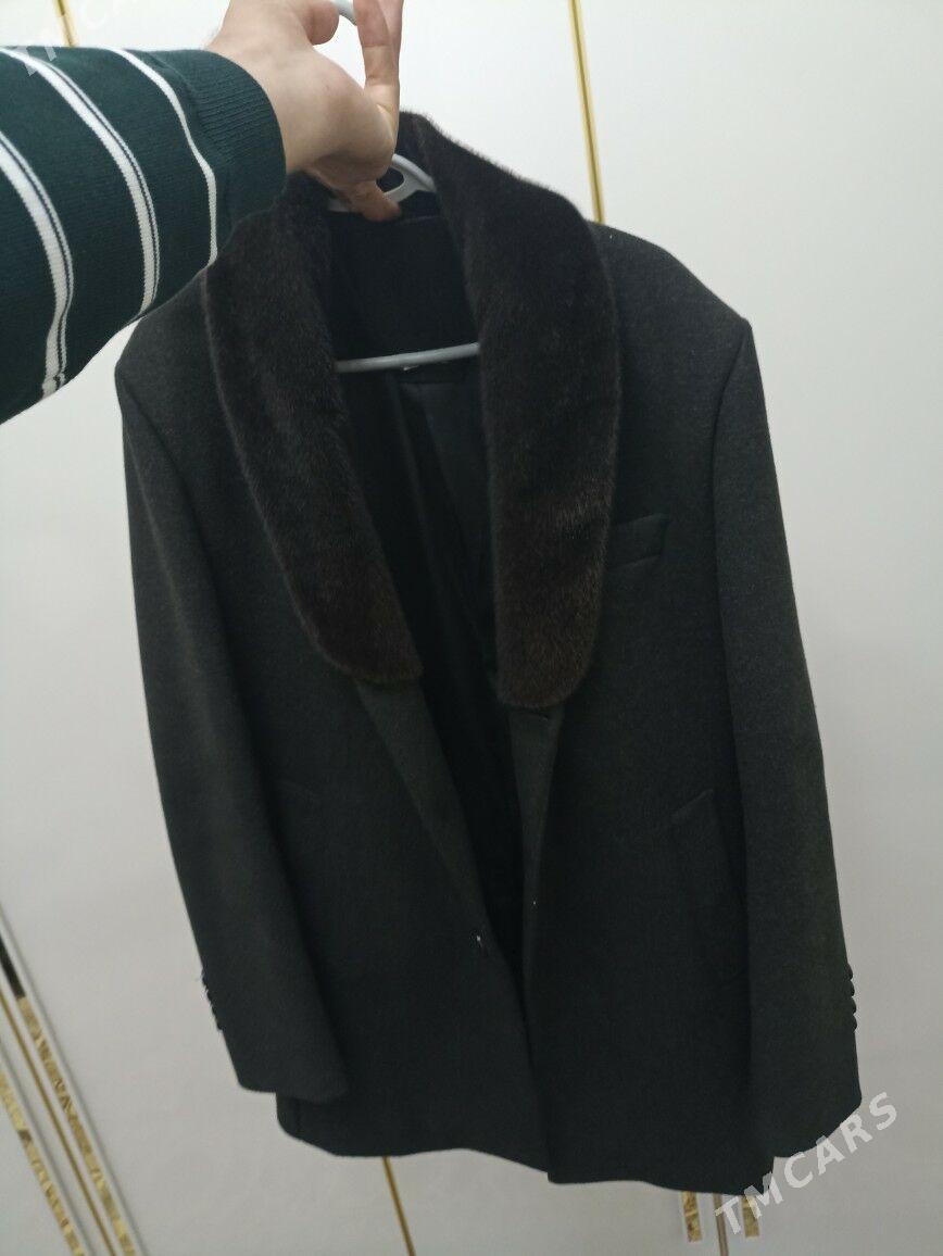 palto - Jebel - img 1