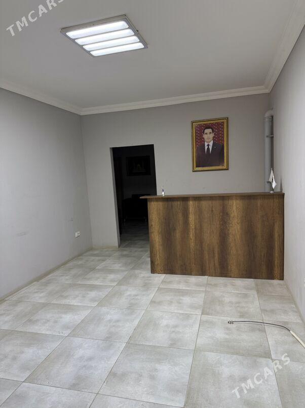 ofis obmen - Ak bugdaý etraby - img 5