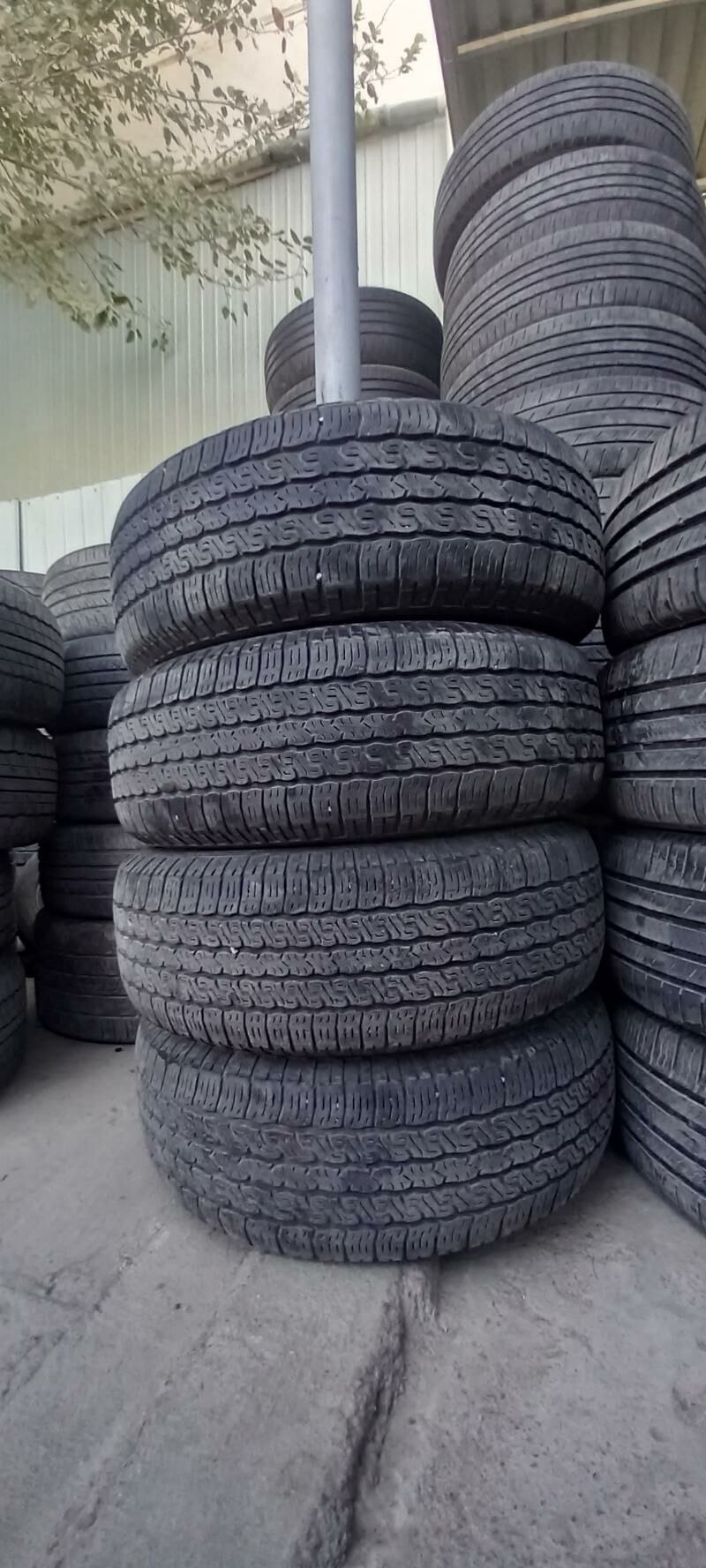 245-65-17 toyo 1 000 TMT - Бедев - img 4