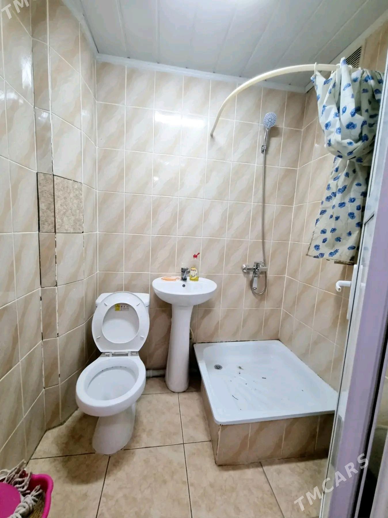 satlyk jay - Мары - img 4