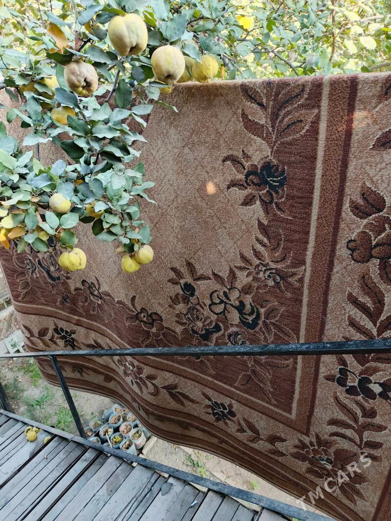 Палас - Türkmenbaşy - img 1