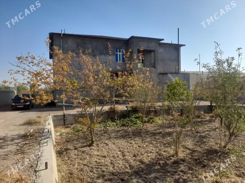 elitga jay - Губадаг - img 1