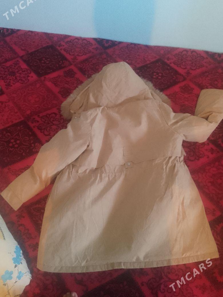 gyz kurtga - Bäherden - img 2