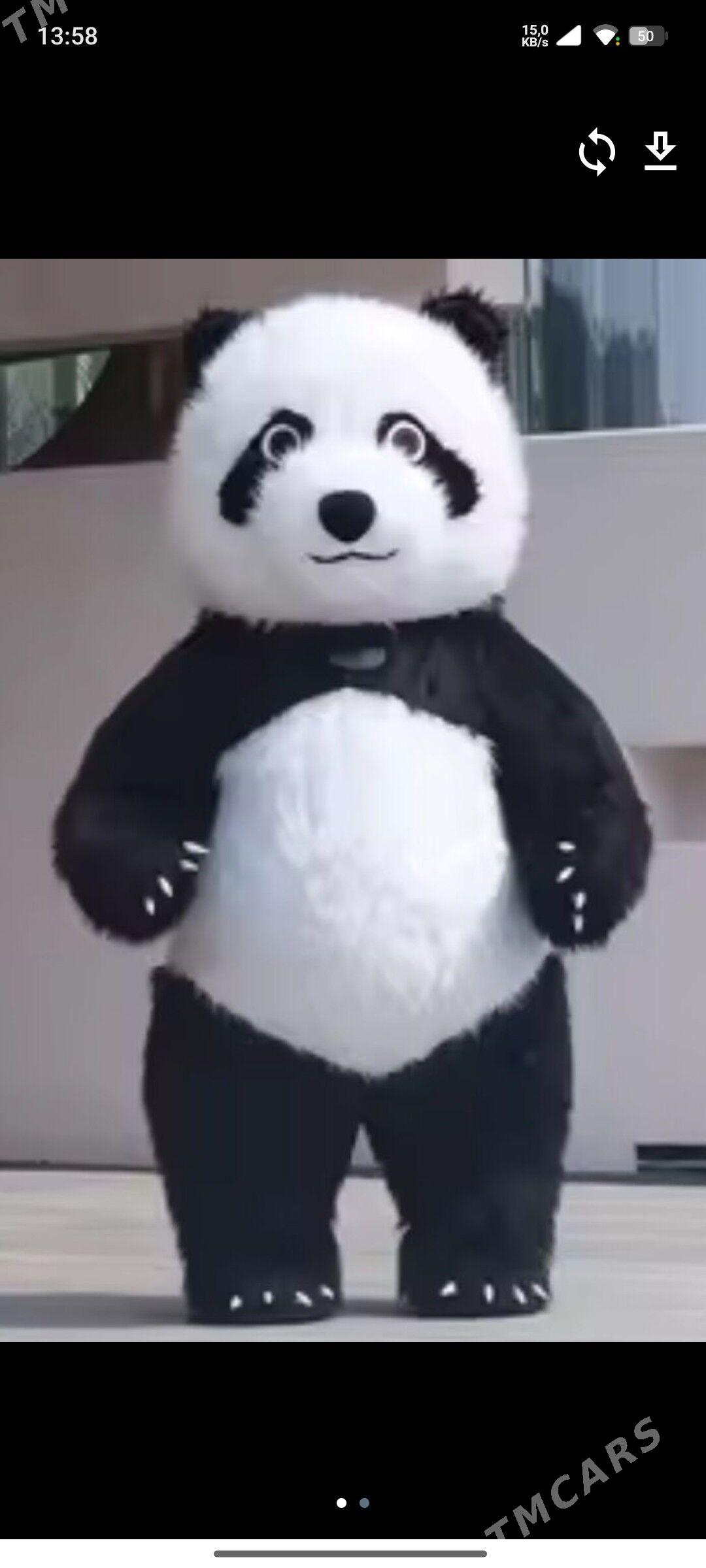 Panda&Mişka - Балканабат - img 2