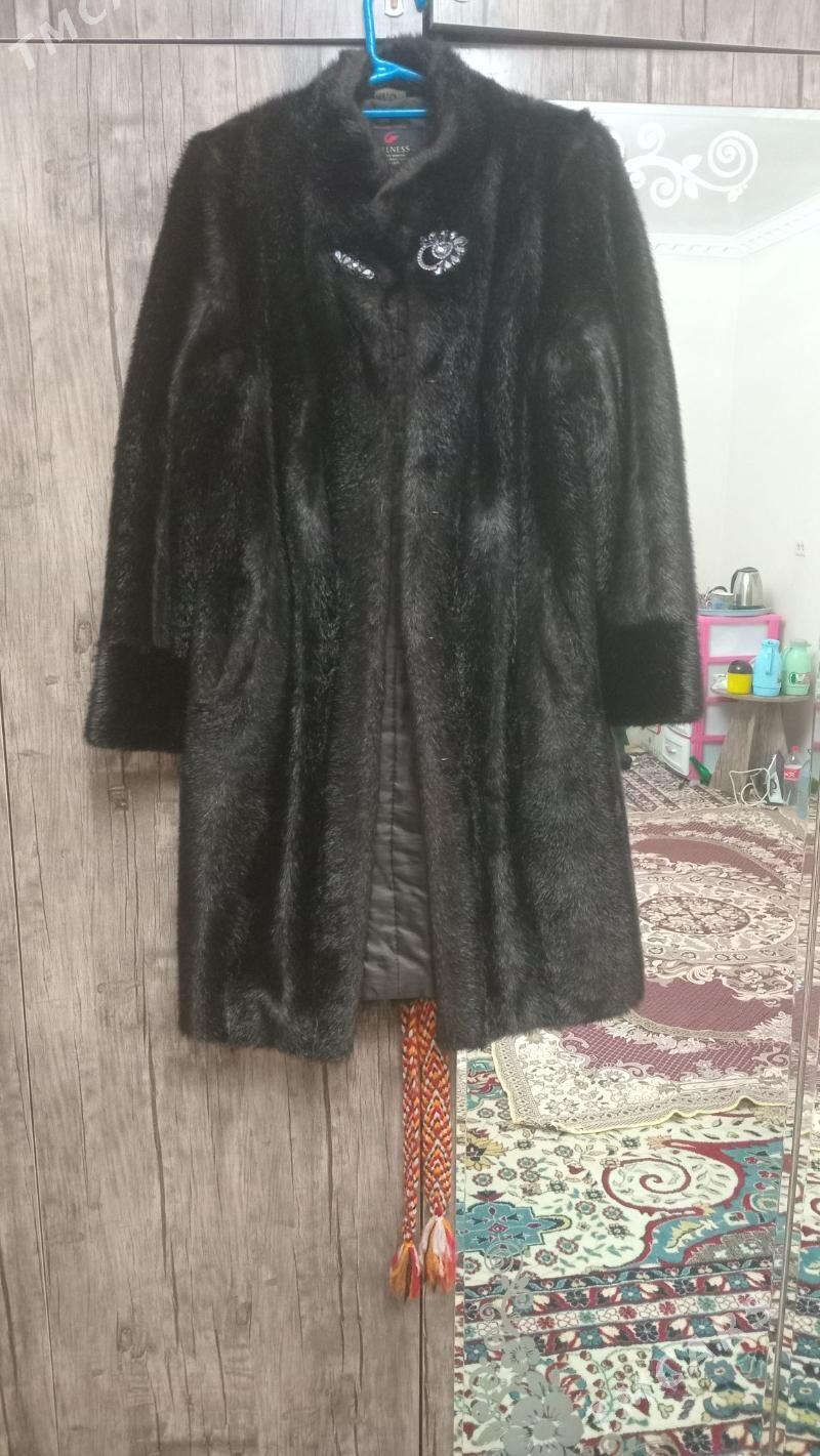 Shuba - Бедев - img 2