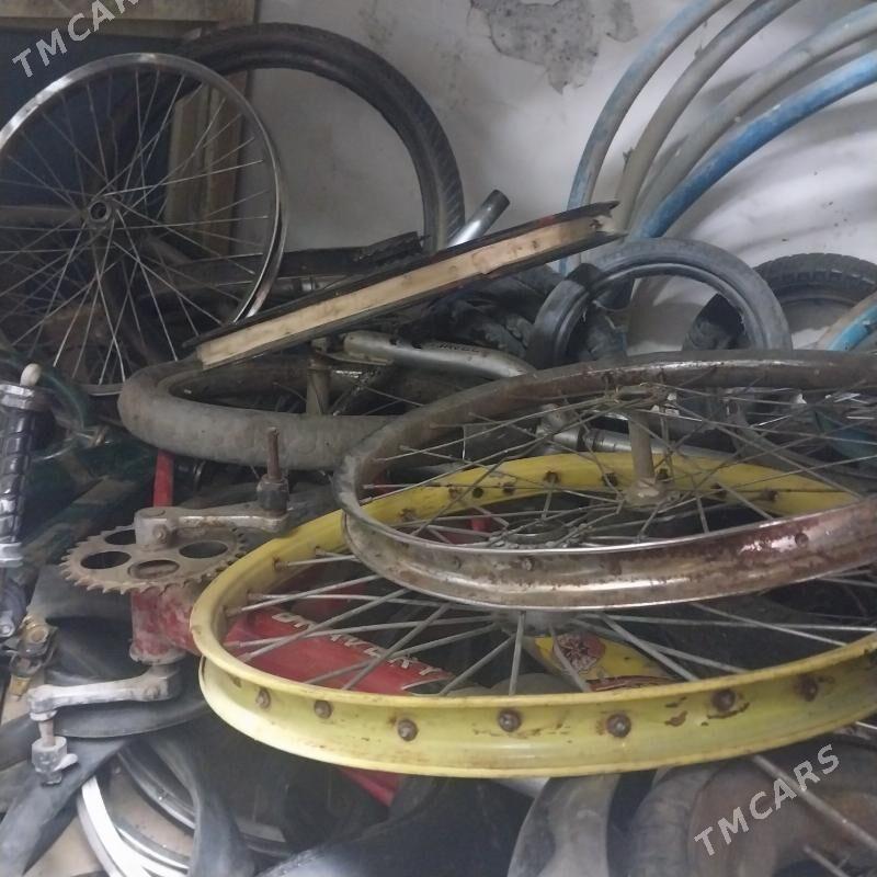 tgir - Гаудан "В" - img 2