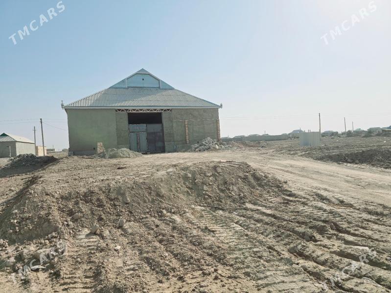 Satlyk Jay Wysoky - Теджен - img 2