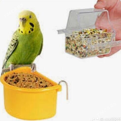 gus imleri  popugay korum - Ашхабад - img 1