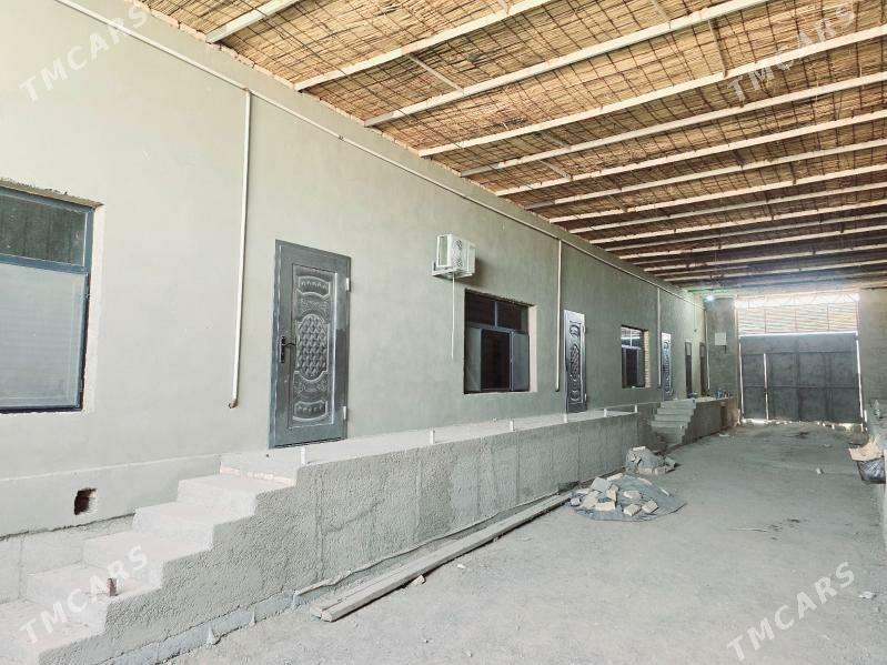 Satlyk Jay Wysoky - Теджен - img 3