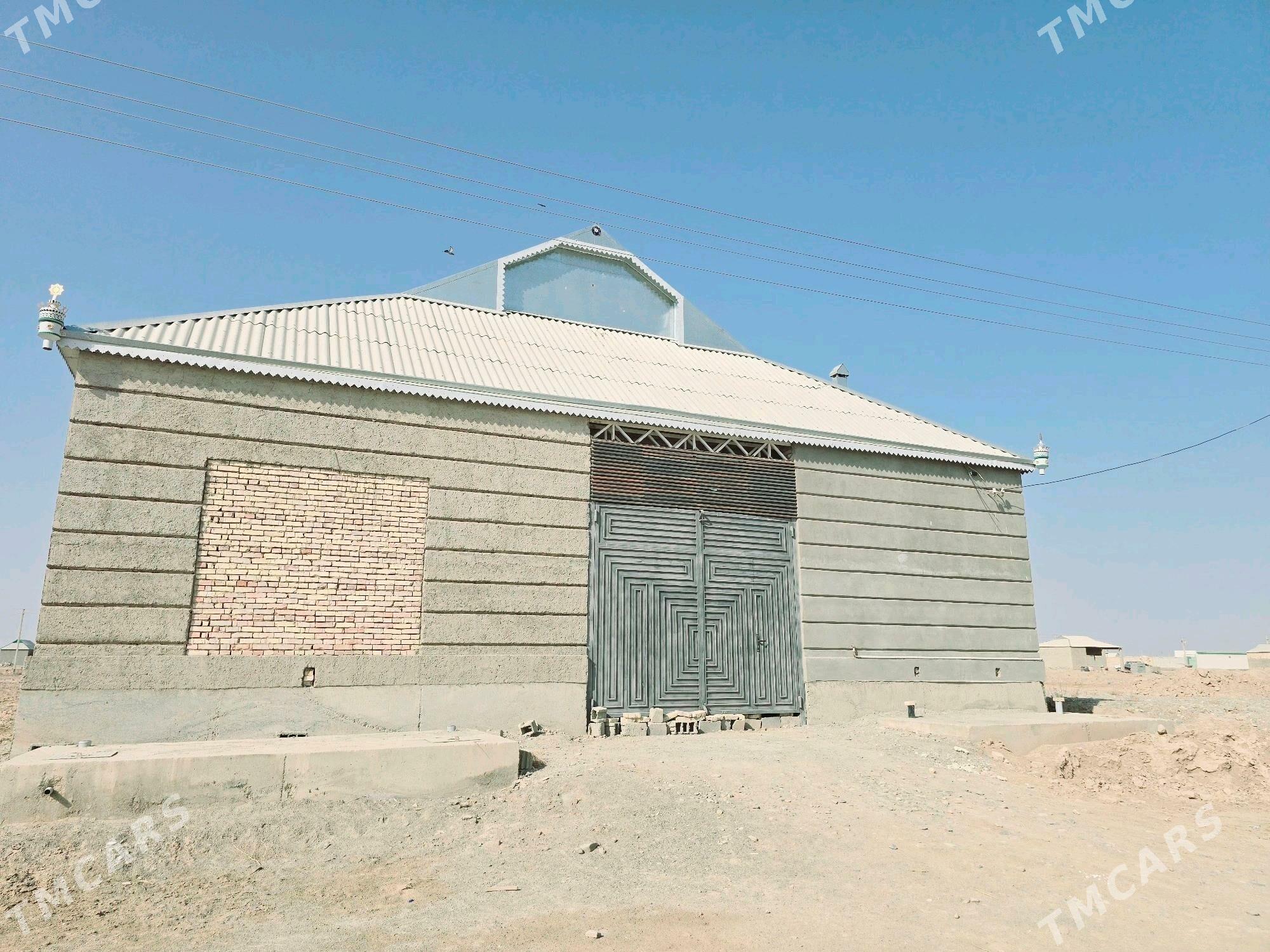 Satlyk Jay Wysoky - Теджен - img 7