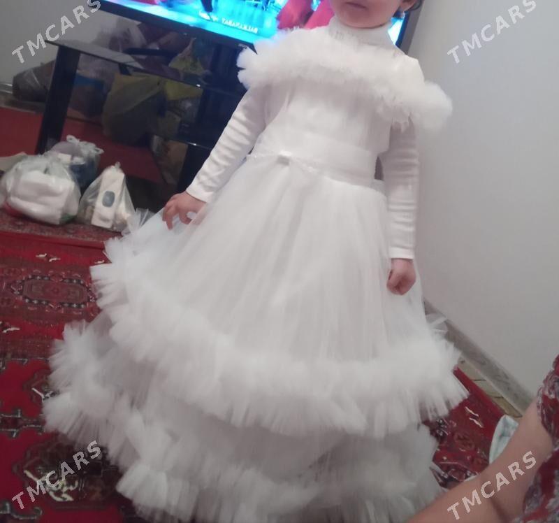 caga fata - Mary - img 2