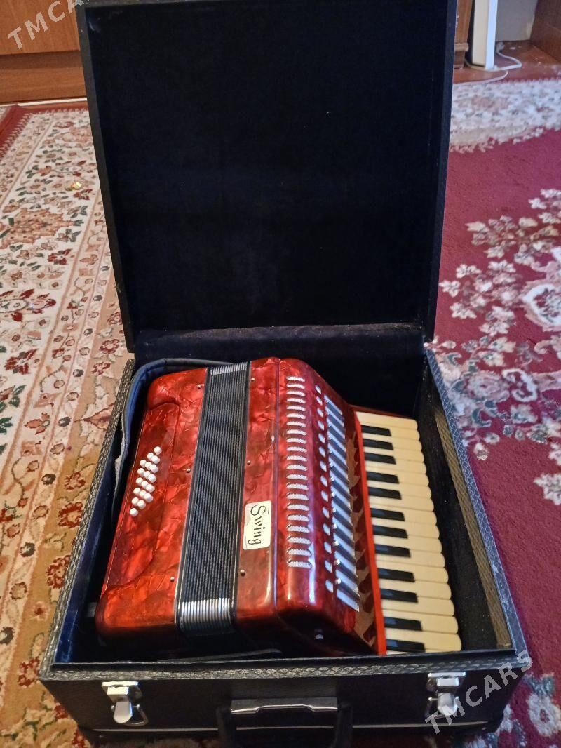 Akardiyon - Бузмеин - img 1