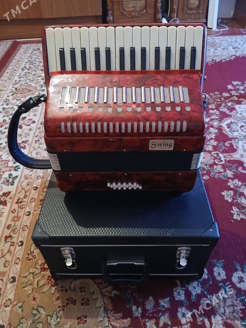 Akardiyon - Бузмеин - img 2