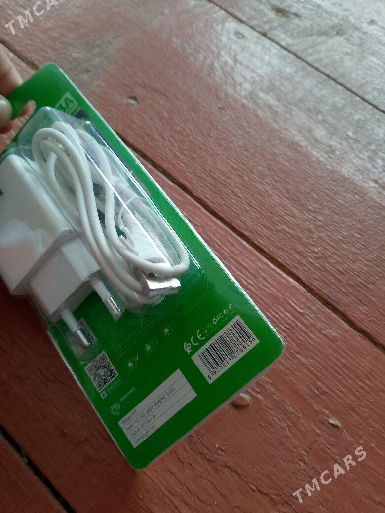 zaryadnik uly - Garagum etraby - img 3