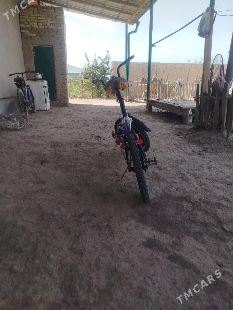 kama welik - Daşoguz - img 2