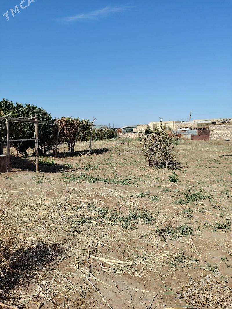 Сатлык Дача - Türkmenabat - img 1