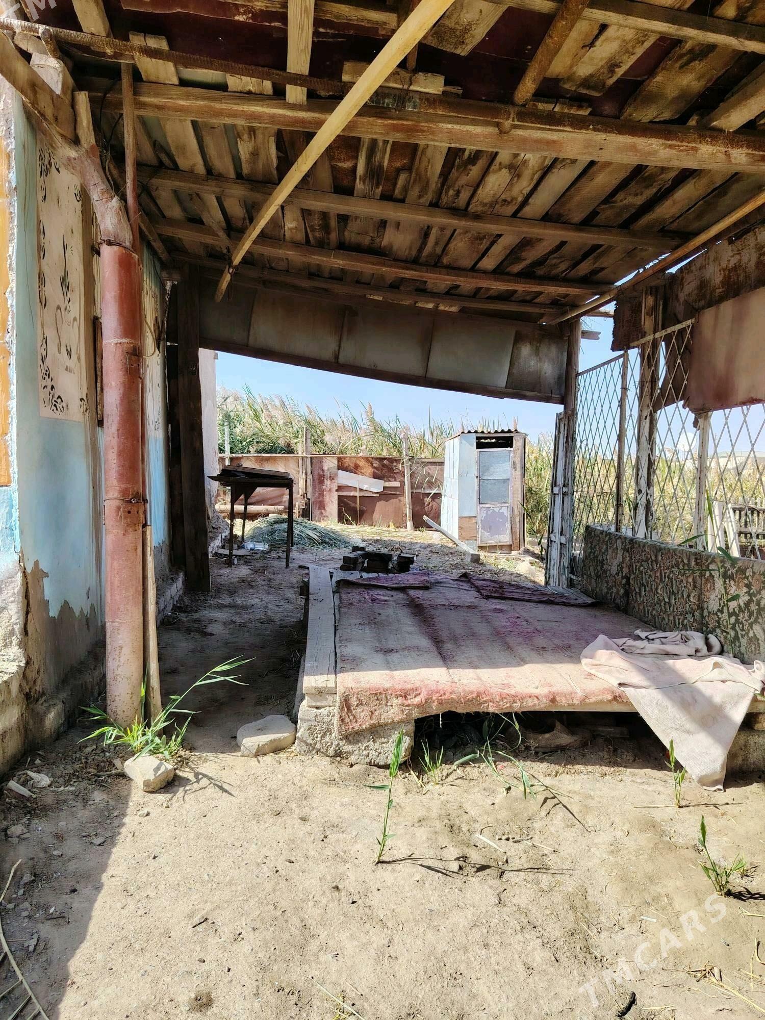 Сатлык Дача - Türkmenabat - img 2