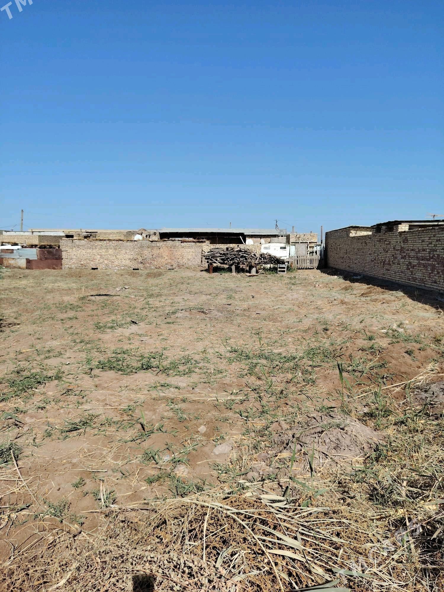 Сатлык Дача - Türkmenabat - img 5