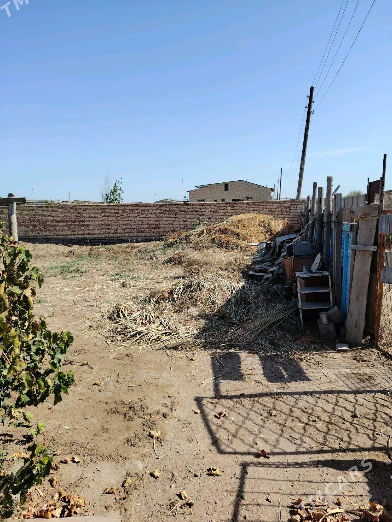 Сатлык Дача - Türkmenabat - img 6