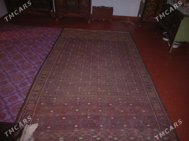 gadymy haly - Ýolöten - img 1