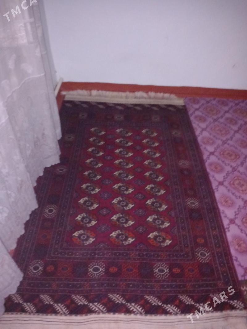 gadymy haly - Ýolöten - img 2