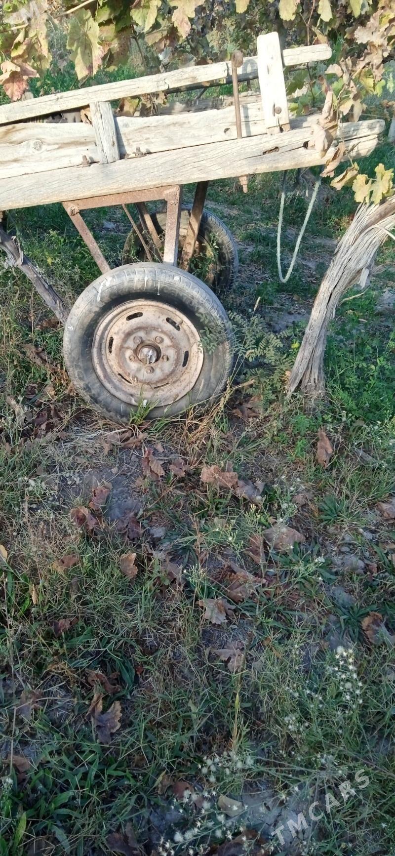 ешек арава - Туркменабат - img 2