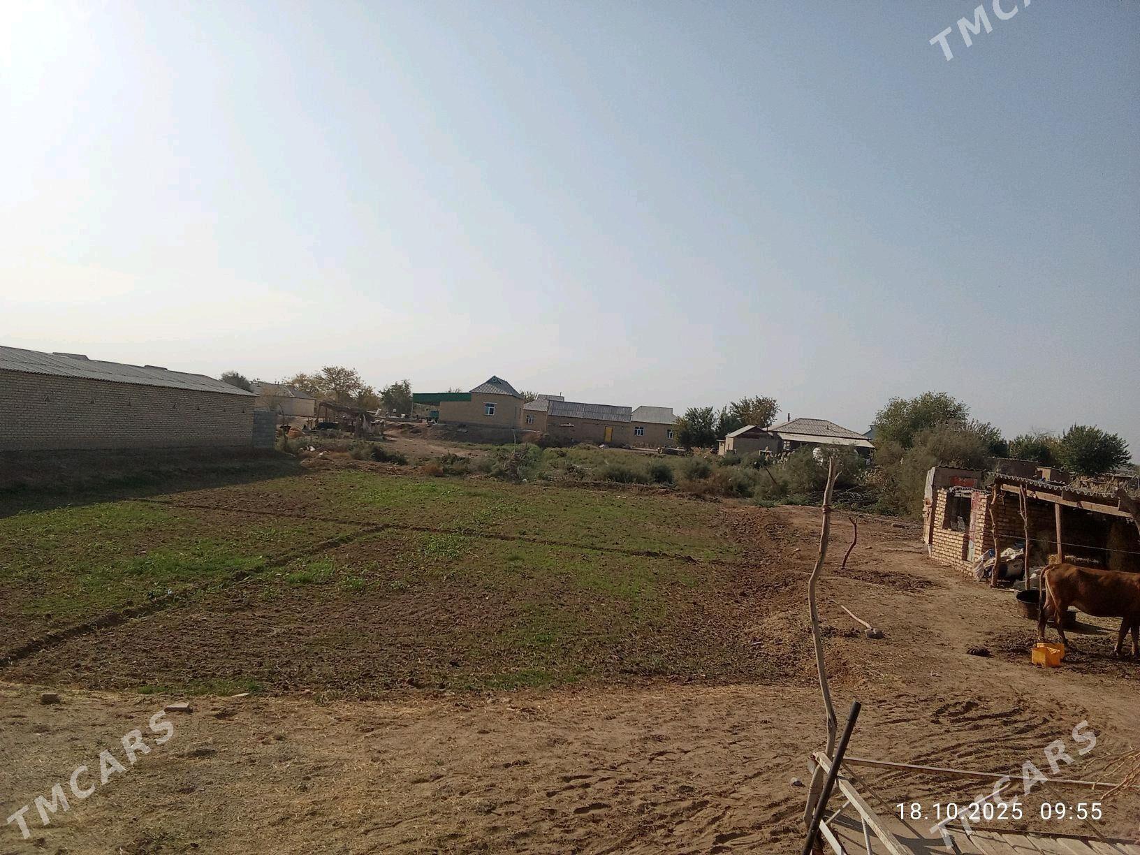 Jaý - Бабадайхан - img 2