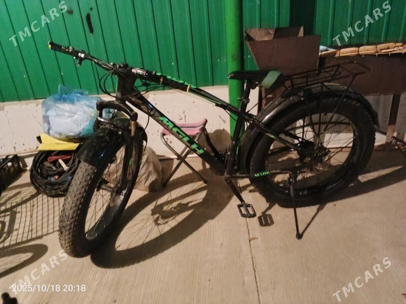 tigir - Тязе заман - img 2