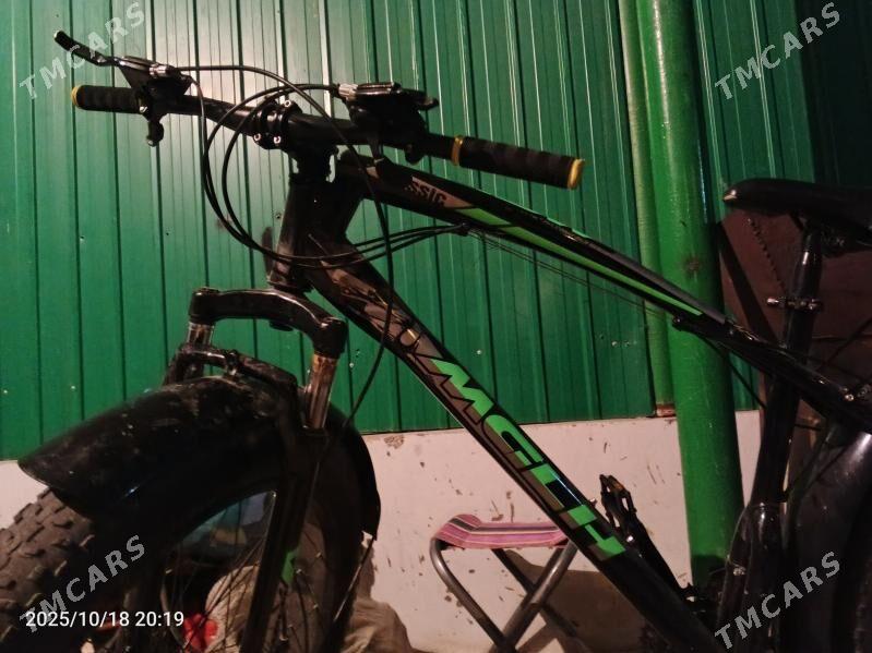 tigir - Тязе заман - img 1