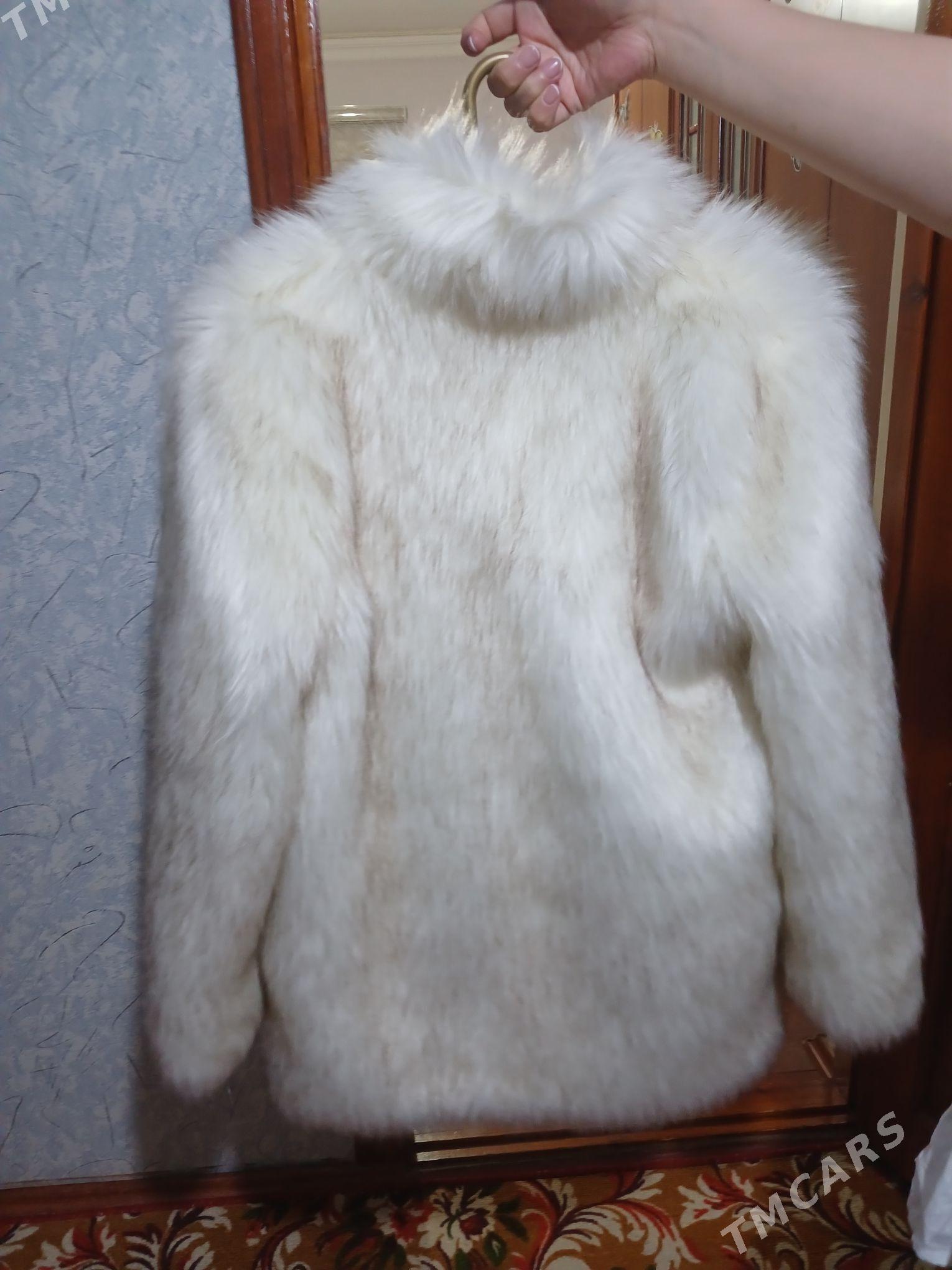 şuba - Дашогуз - img 2