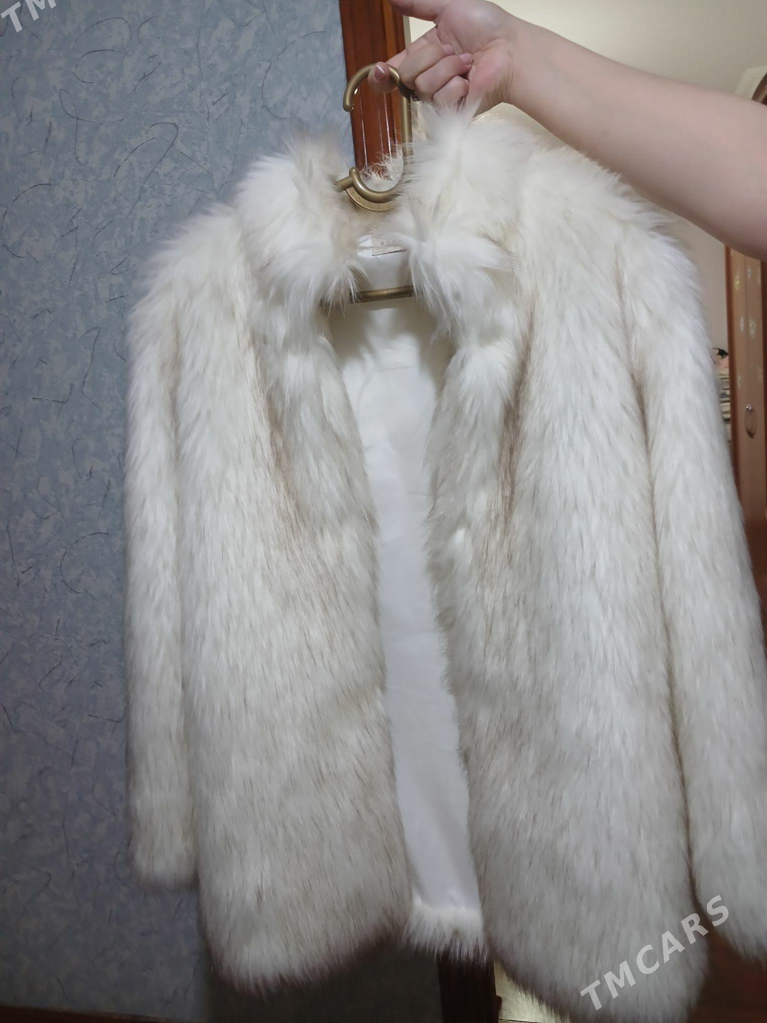 şuba - Дашогуз - img 1