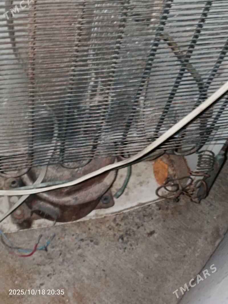 haladinlik - Täze zaman - img 4