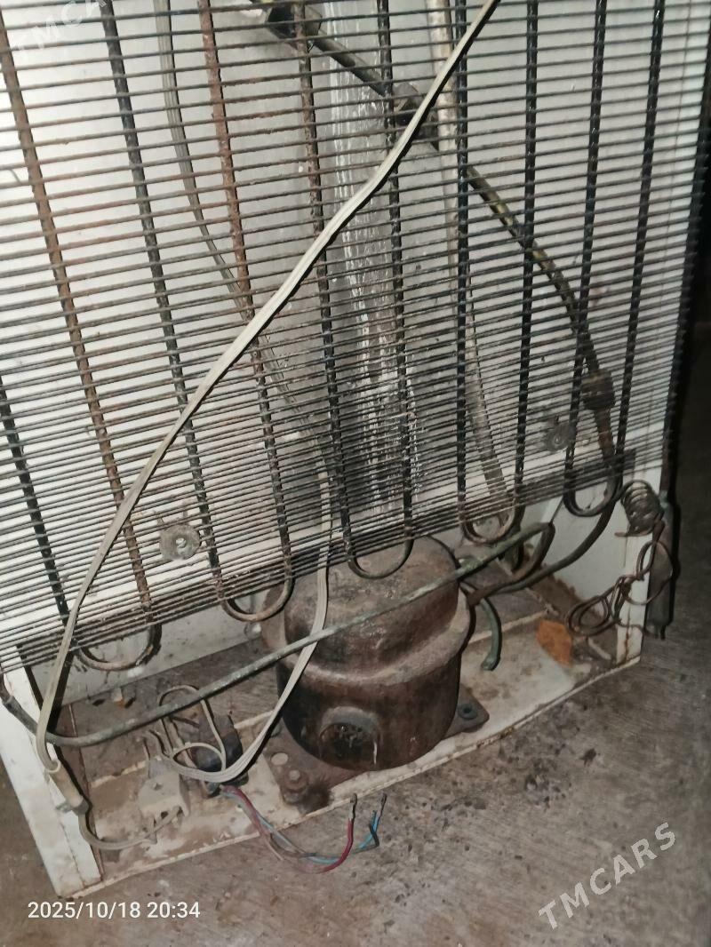 haladinlik - Täze zaman - img 6