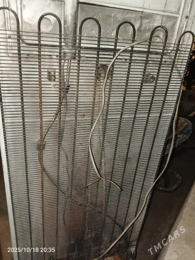 haladinlik - Täze zaman - img 3