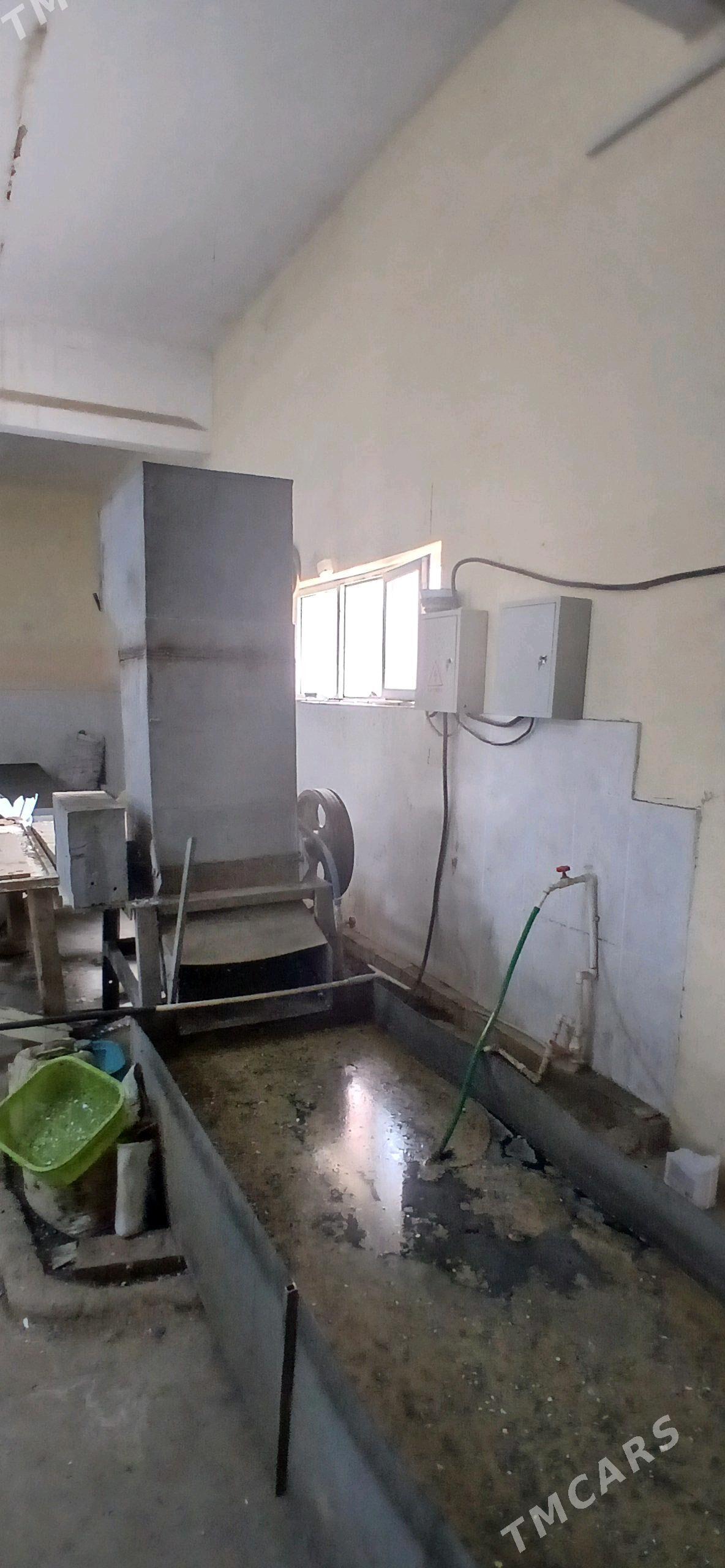 DRABİRKA PLASMAS - Aşgabat - img 4