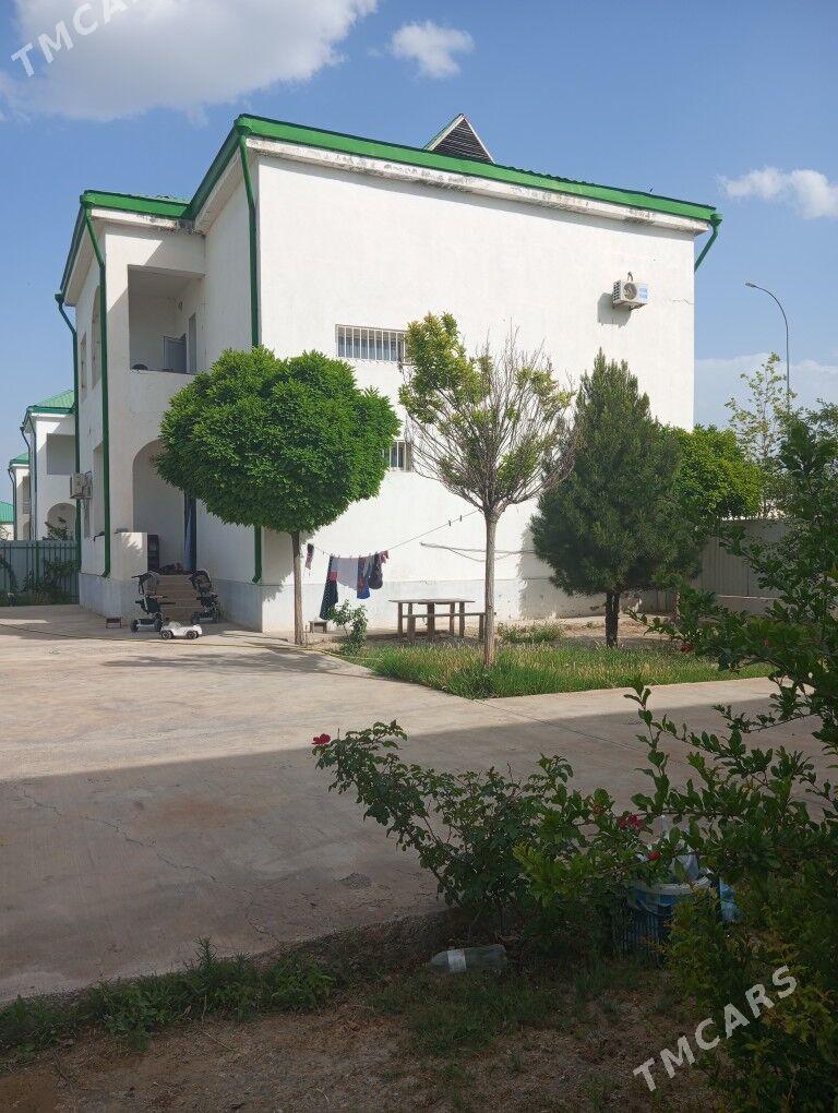 Taze zaman 1j Kateź 5kom eyesi - Тязе заман - img 3