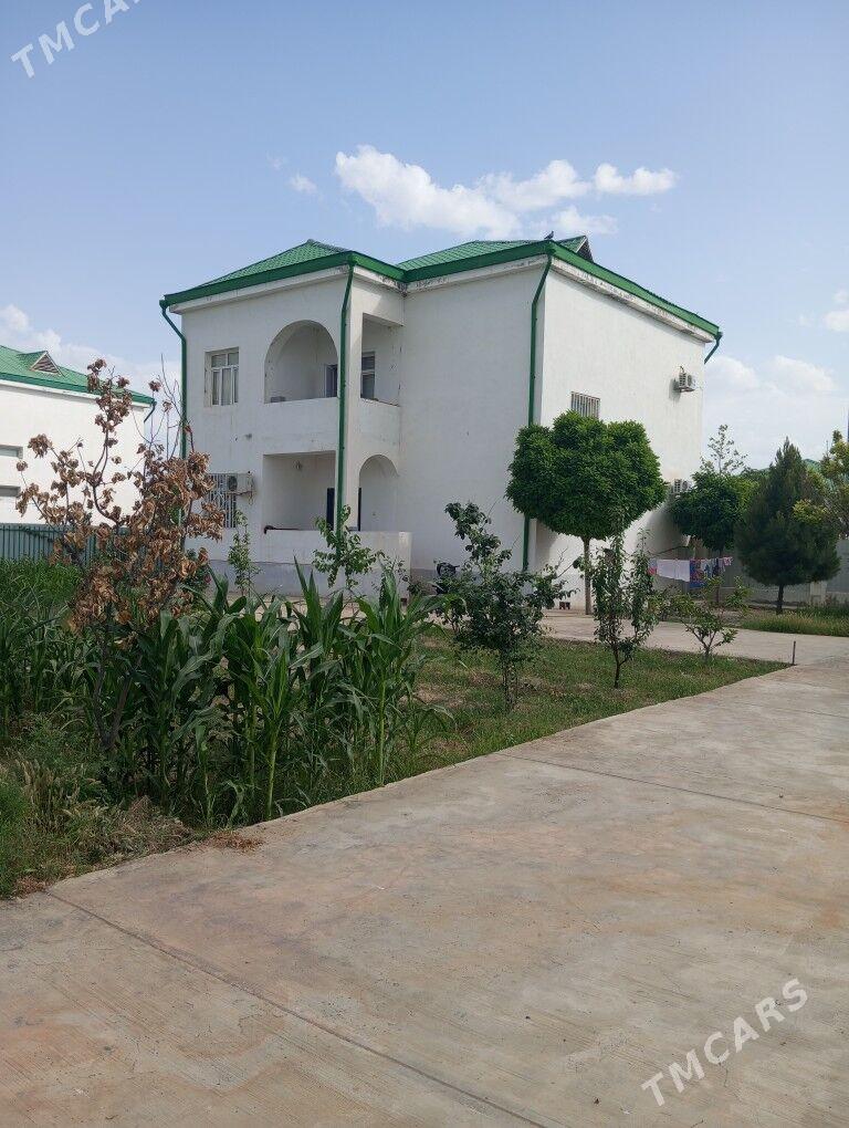 Taze zaman 1j Kateź 5kom eyesi - Тязе заман - img 2