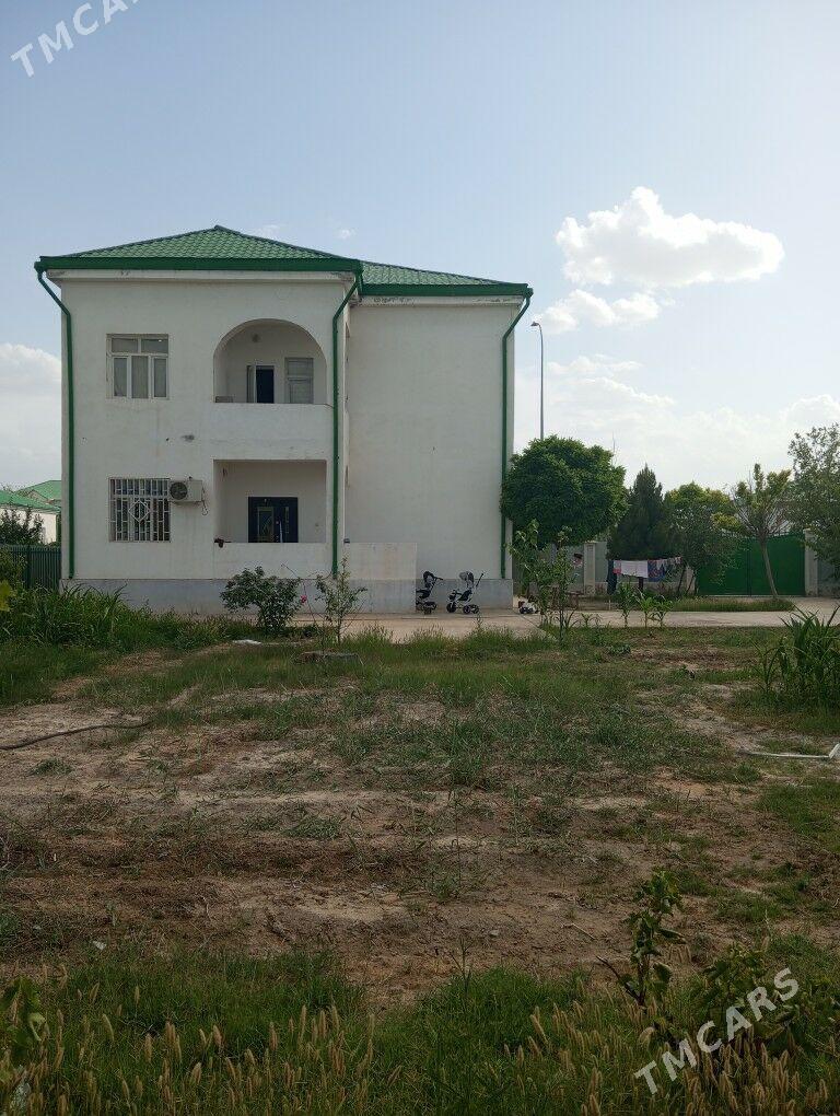 Taze zaman 1j Kateź 5kom eyesi - Тязе заман - img 4