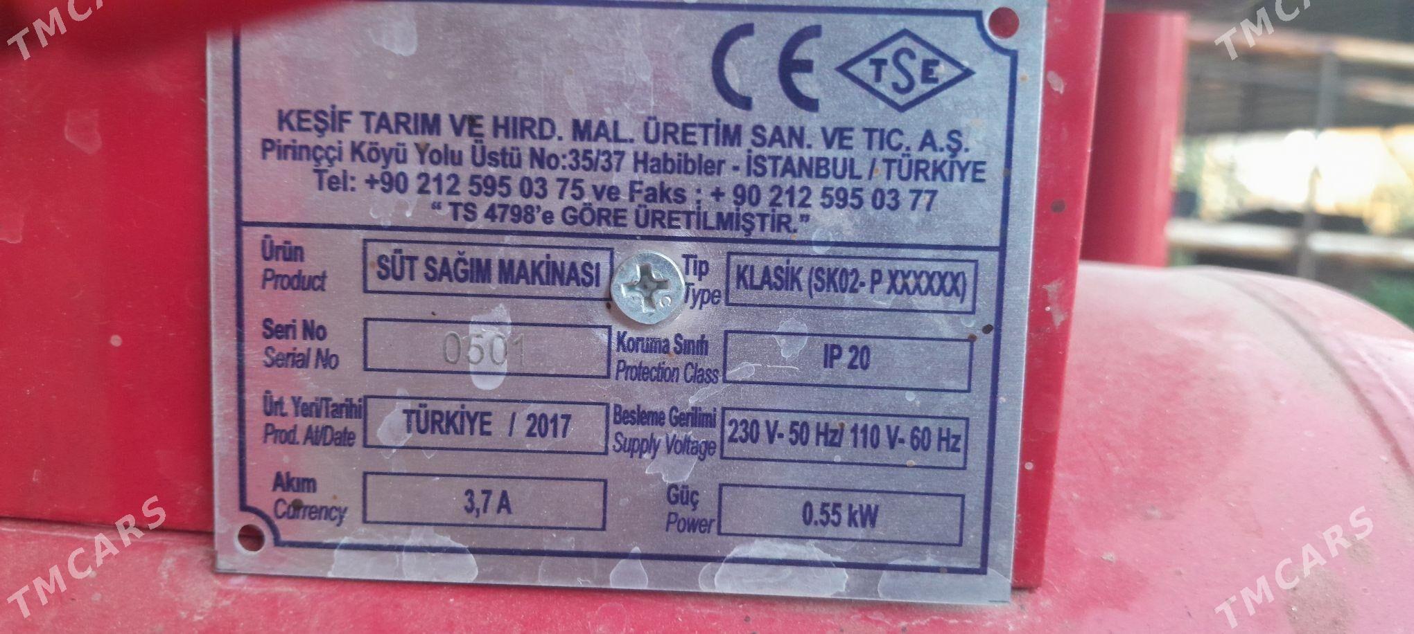 sygyr sagylyan - Wekilbazar - img 3