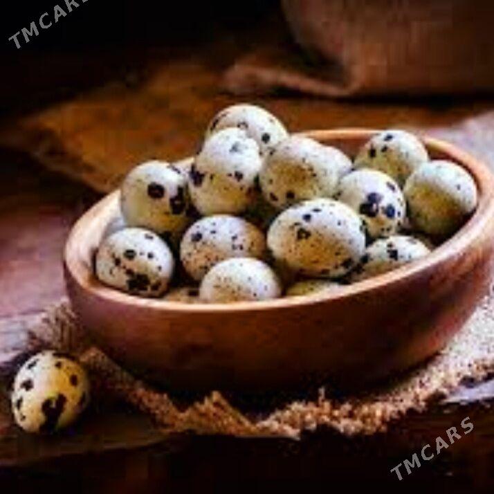 Бедене - Türkmenabat - img 2